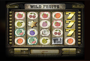 Wild Fruits Slot