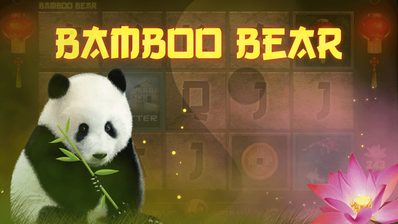 bamboo bear slot
